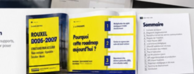 Aperçu partiel de l’audit et de la roadmap Rouxel